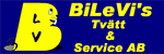 Bilevi's tvätt & service AB